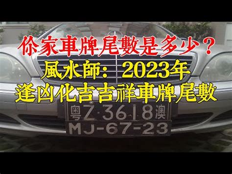 車牌尾數7 鸚鵡飛來家裡